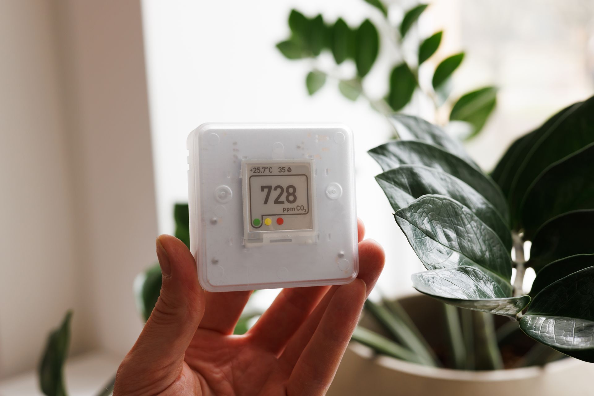 A person is holding a thermostat in their hand in front of a potted plant.