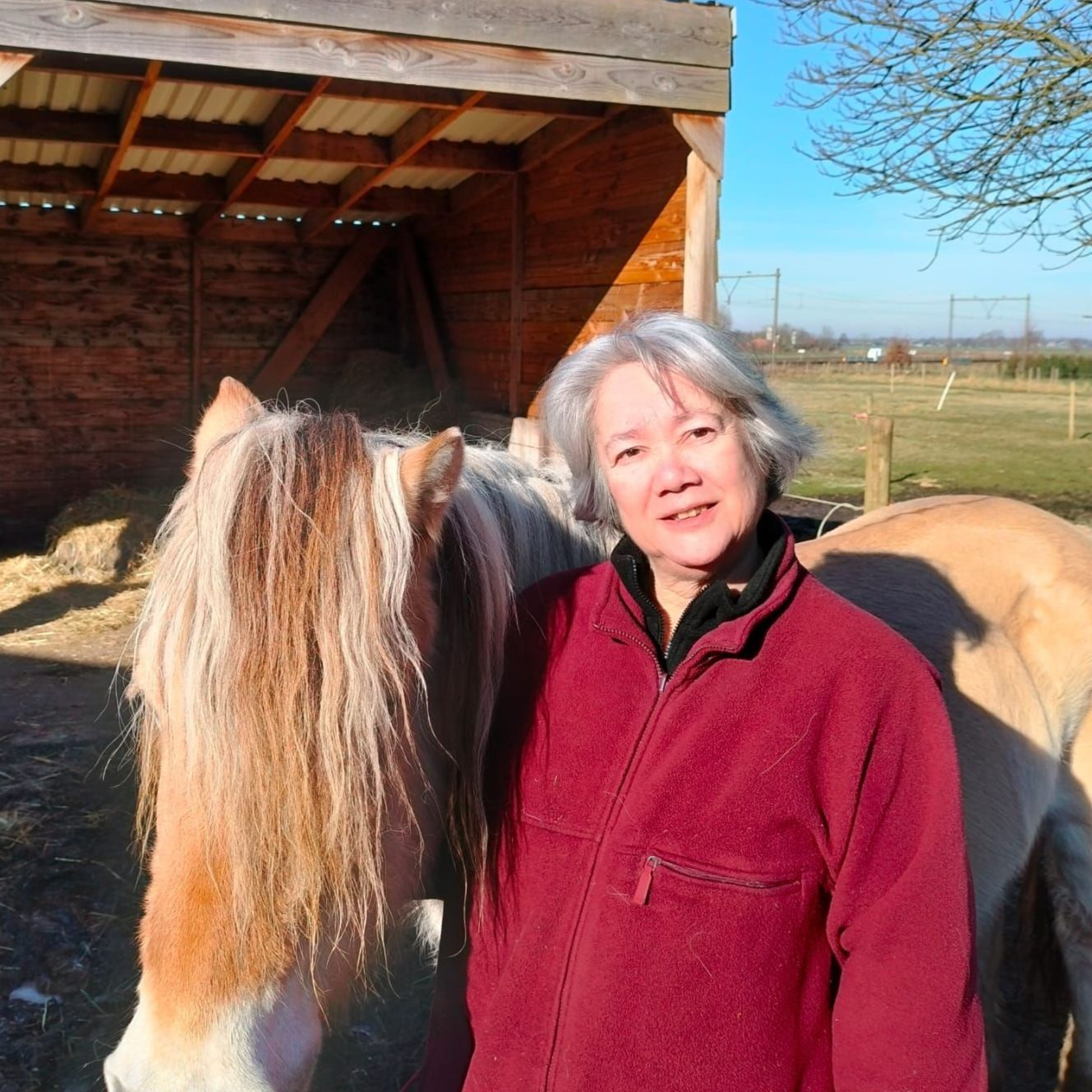 Een paard graast in een grasveld terwijl twee mensen op een zonnige dag in stoelen bij een sproeier zitten.