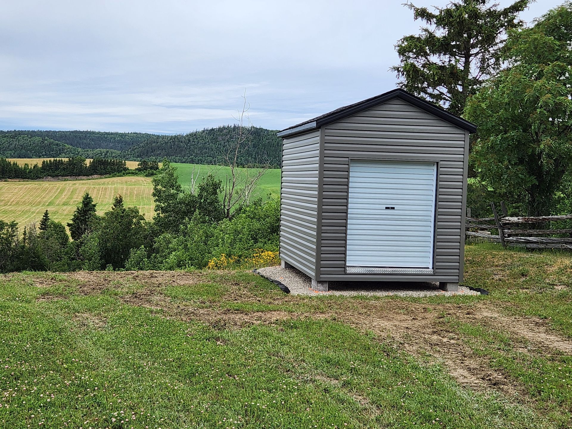 Un petit hangar se trouve au milieu d'un champ herbeux.