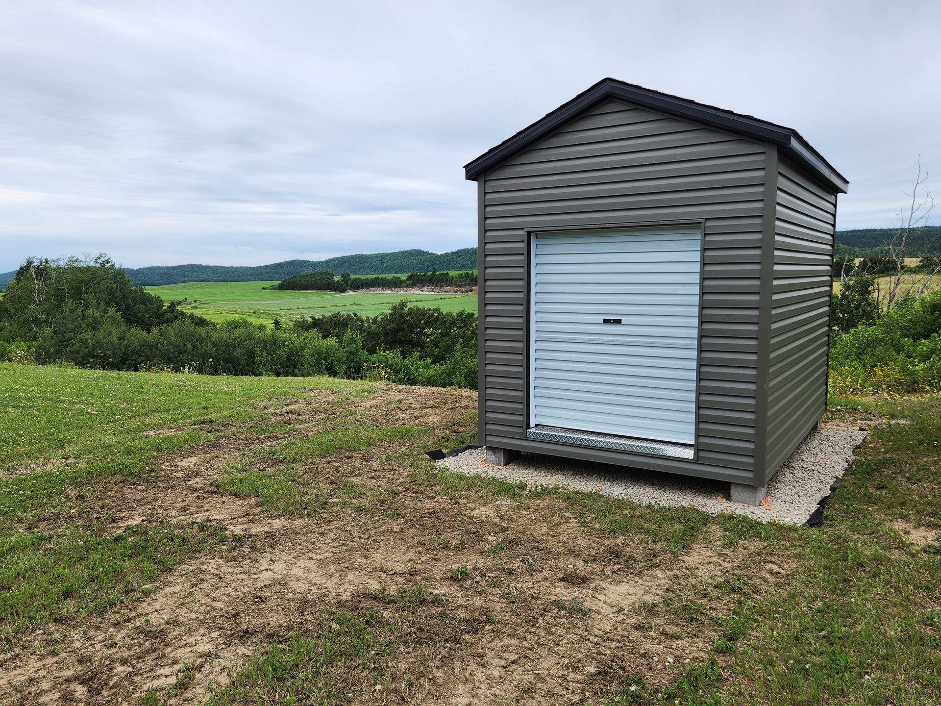 Un petit hangar avec une porte blanche se trouve au milieu d'un champ herbeux.