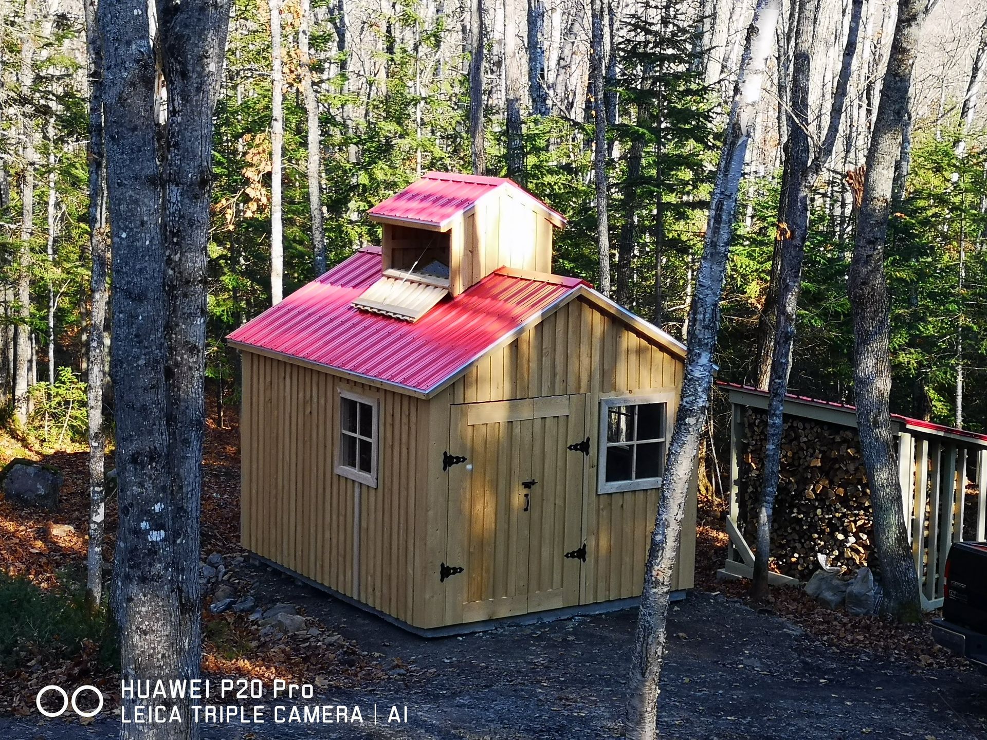Un petit hangar en bois avec un toit rouge au milieu d'une forêt.