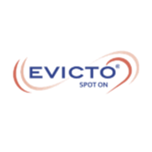 Logo per Evicto Spot On: testo blu, due linee curve rosso-arancio, sfondo bianco.