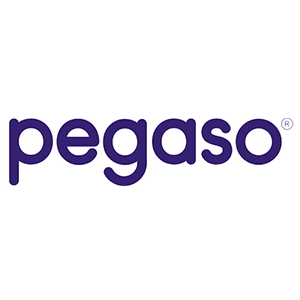 Logo Pegaso in testo viola scuro su sfondo bianco.