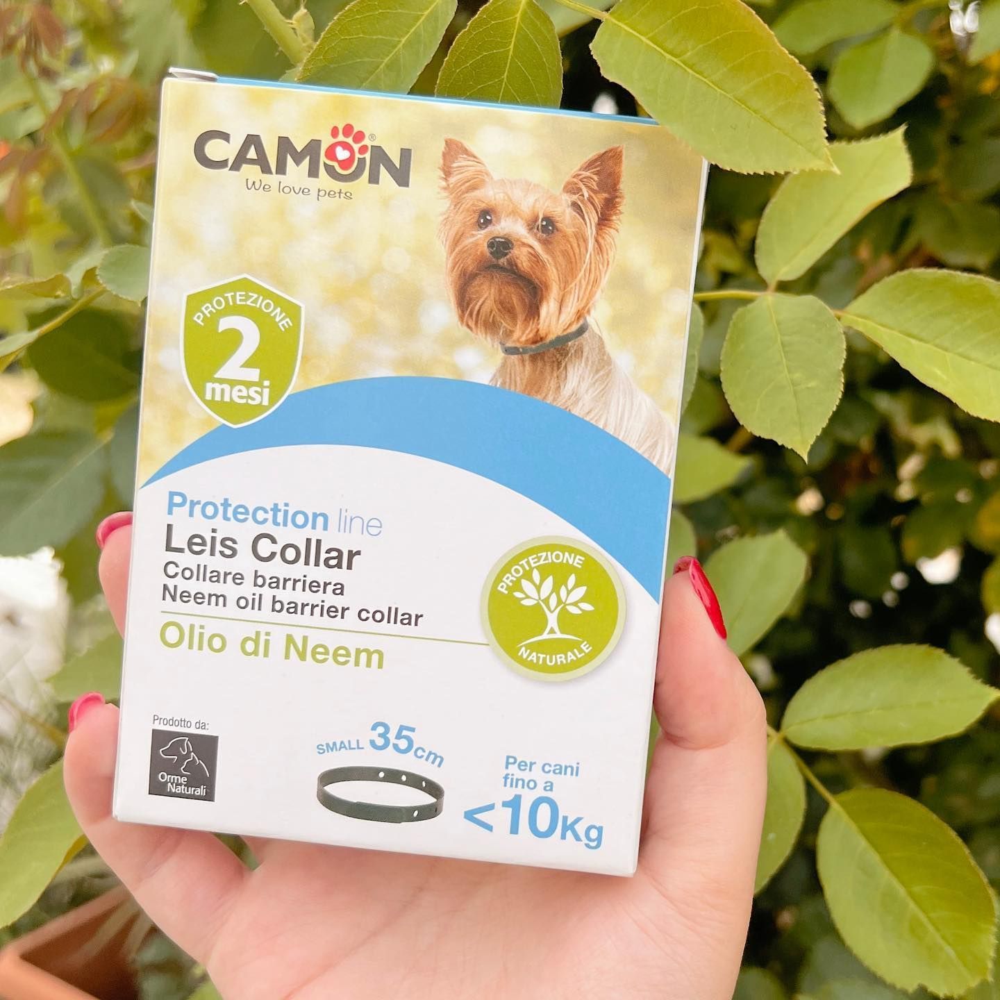 Mano che tiene in mano una scatola di collare Camon Leis. La scatola presenta l'immagine di un cane, i dettagli del prodotto e la scritta 