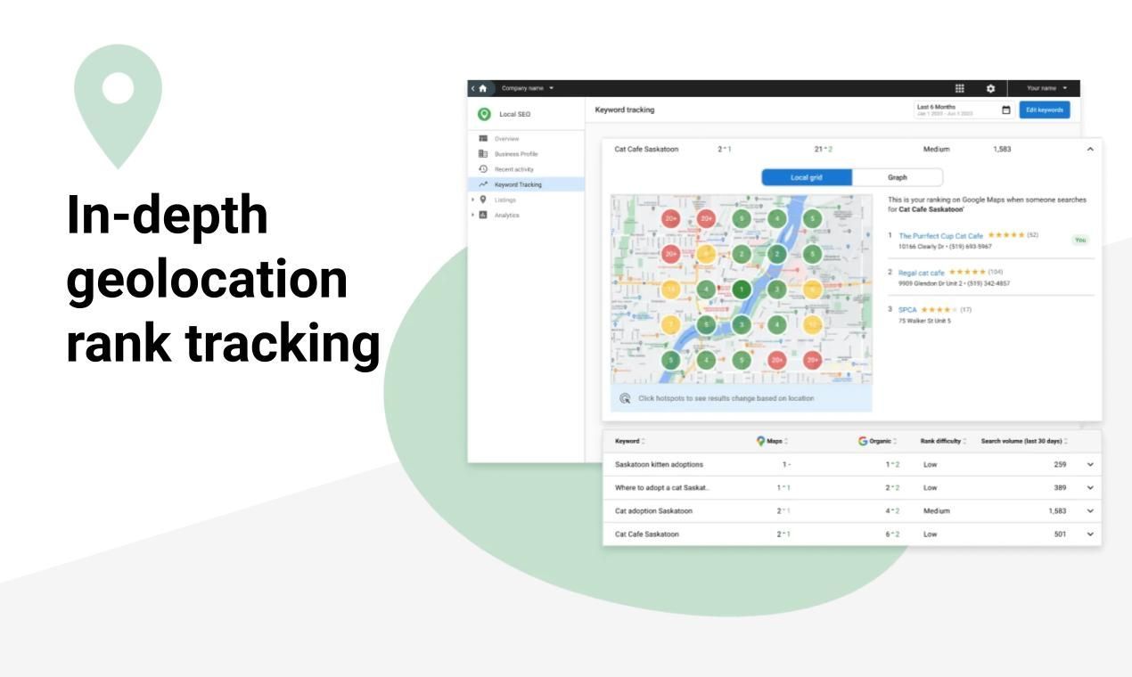 A screenshot of a website showing in-depth geolocation rank tracking.