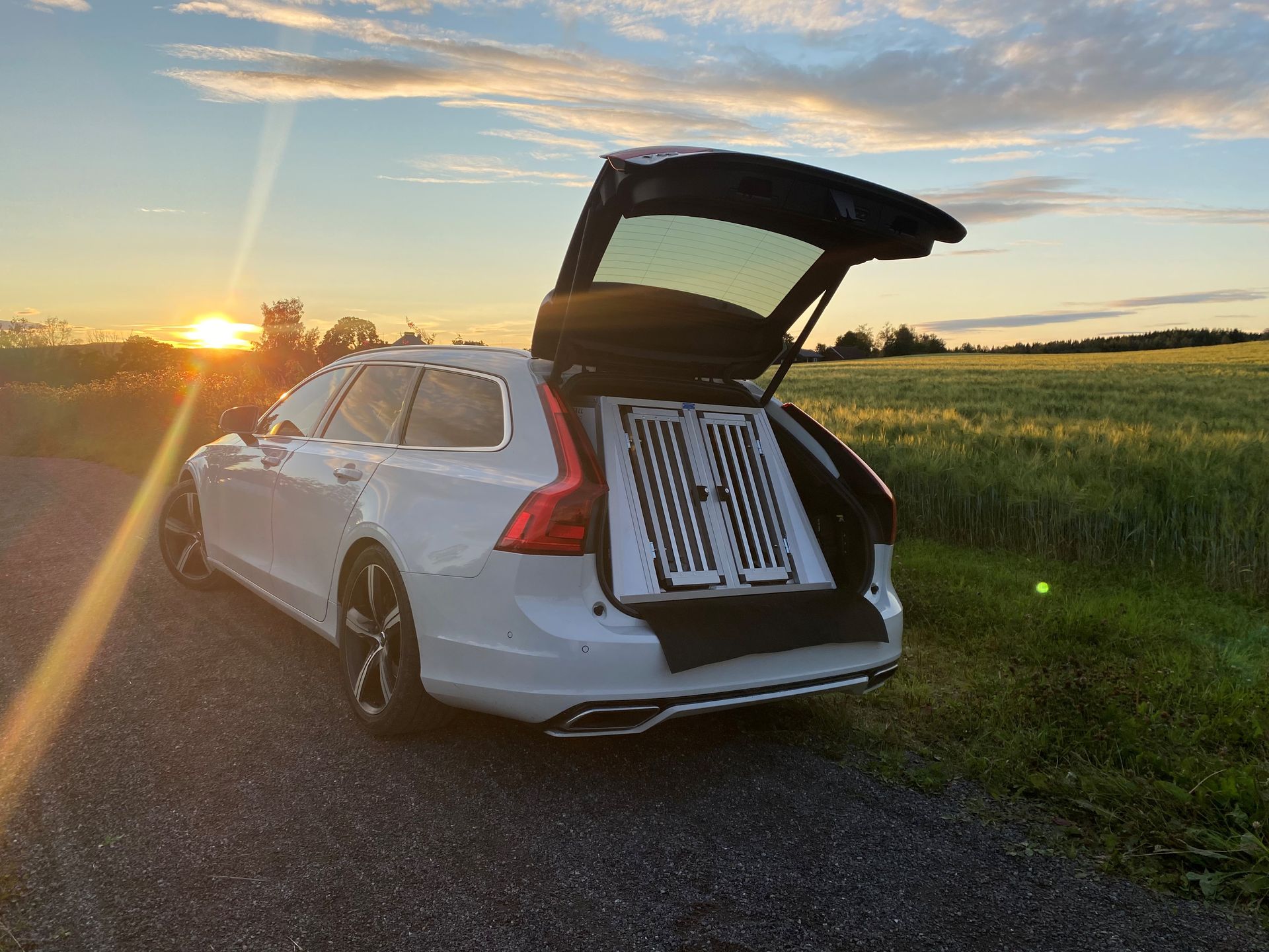 En vit bil med öppen bagagelucka står parkerad på en åker