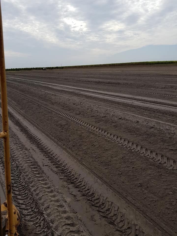 A Muddy Field With Tire Tracks in the Dirt — B E Laser Levelling QLD in Bucca, QLD