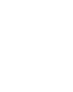 A white background with a few lines on it