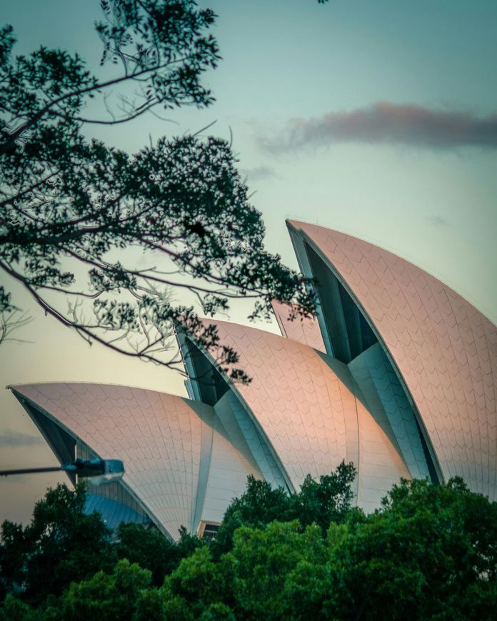 Sydney Opera House sails framed by green trees against a dusky sky.