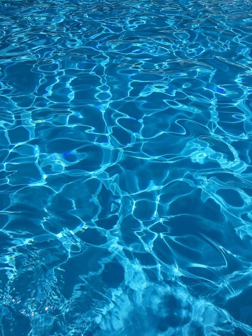 Bright blue water surface, rippling with sunlight reflections.