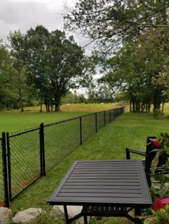 Black chain-link fence bordering a green lawn, dark outdoor table in foreground, trees and sky in background.