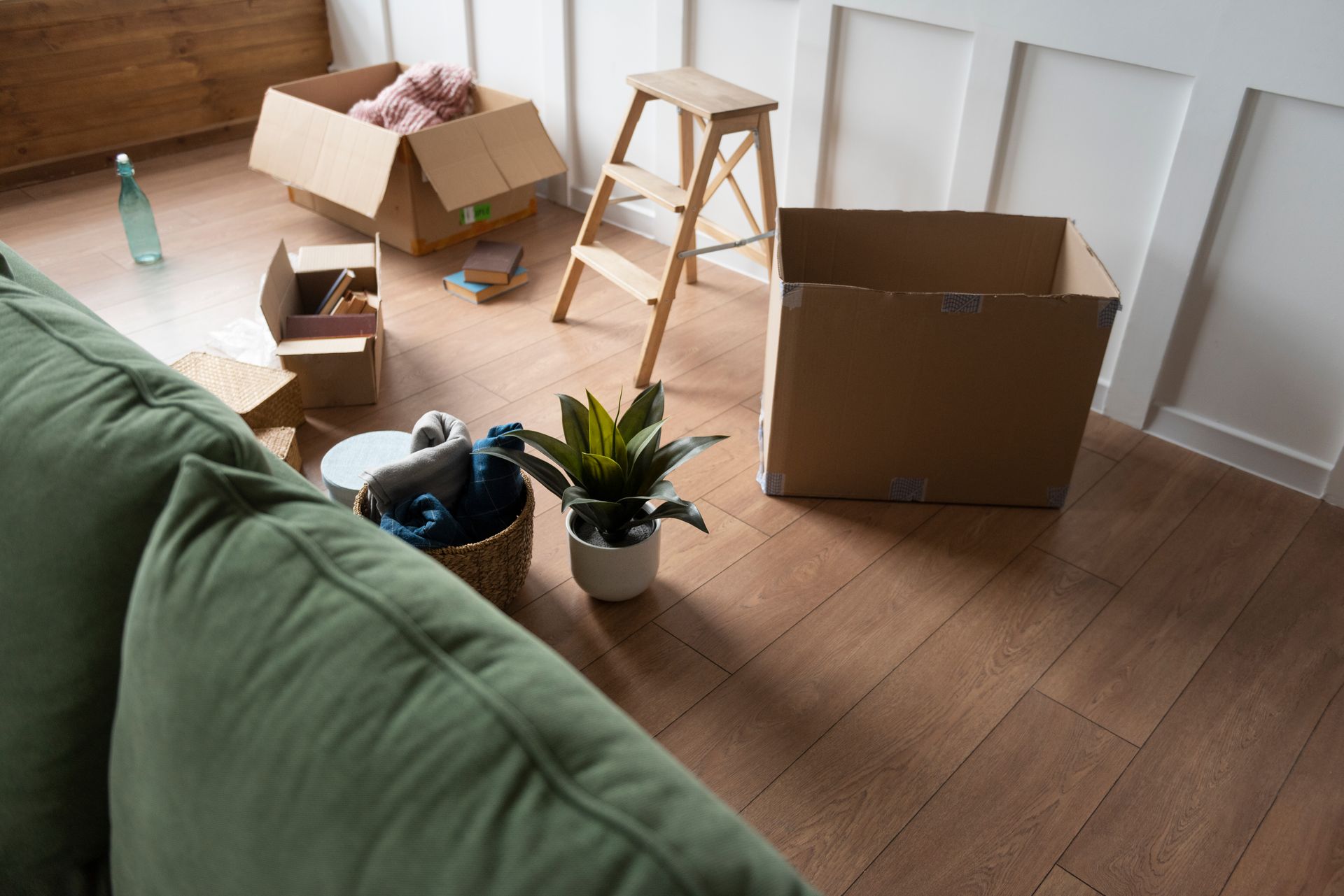 Cardboard boxes, a ladder, and a plant on hardwood floor. Preparing for a move.