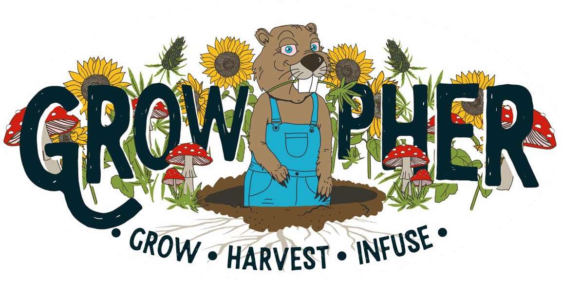 Growpher Logo Full-Color