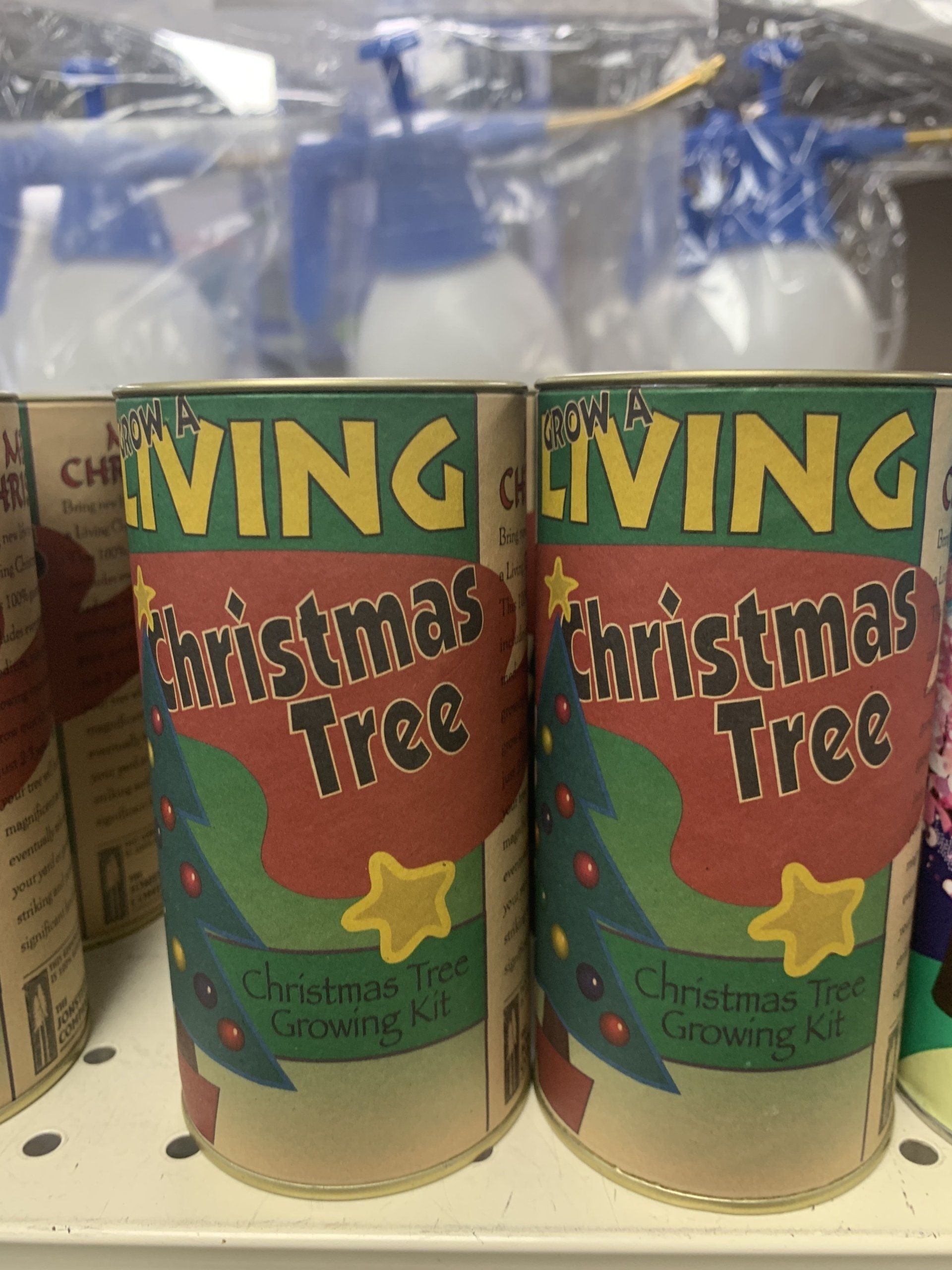 GrowaLiving Christmas Tree - Growing Kit