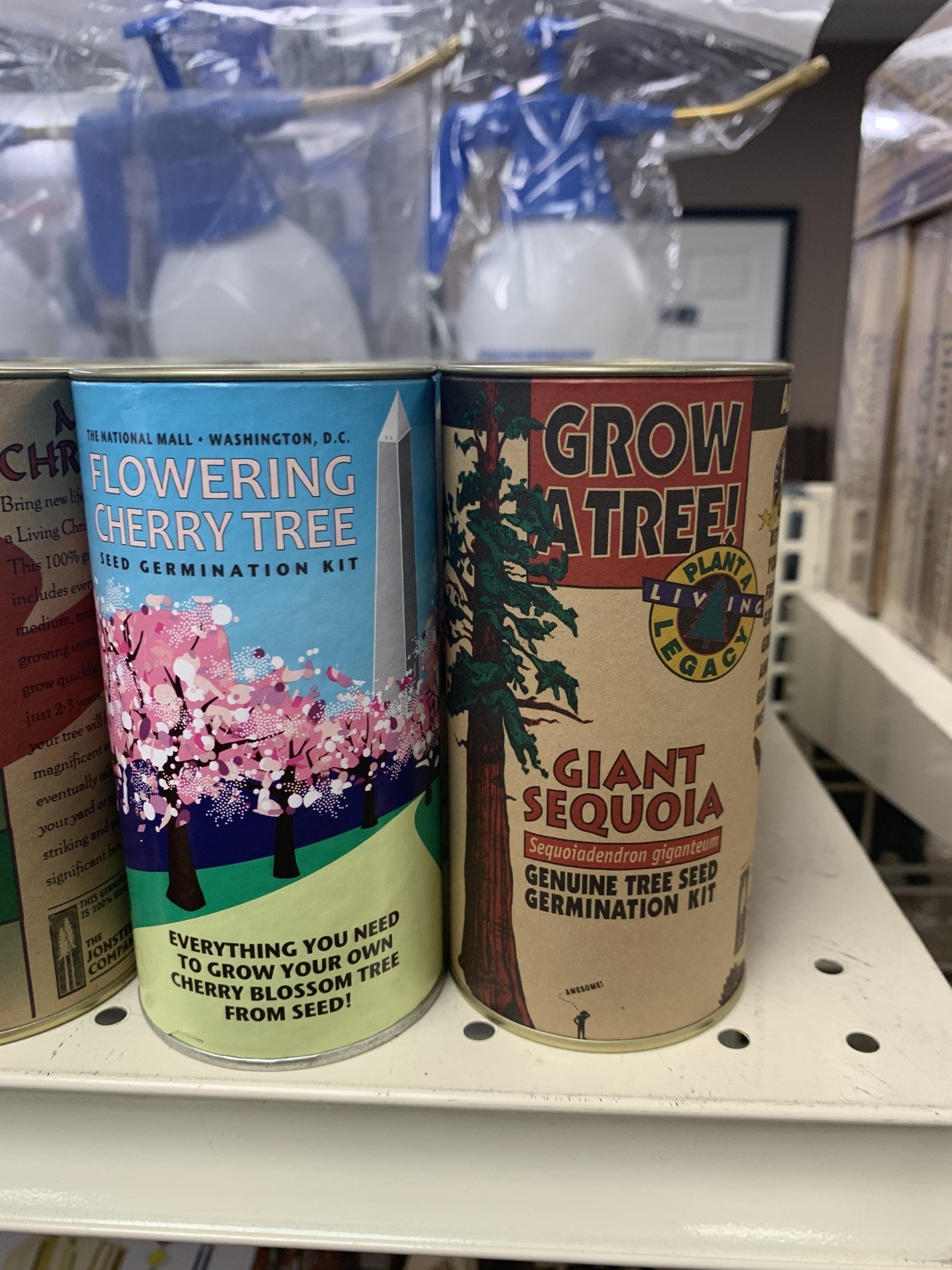 Growatree Giant Sequoia Tree Seed Germination Kit