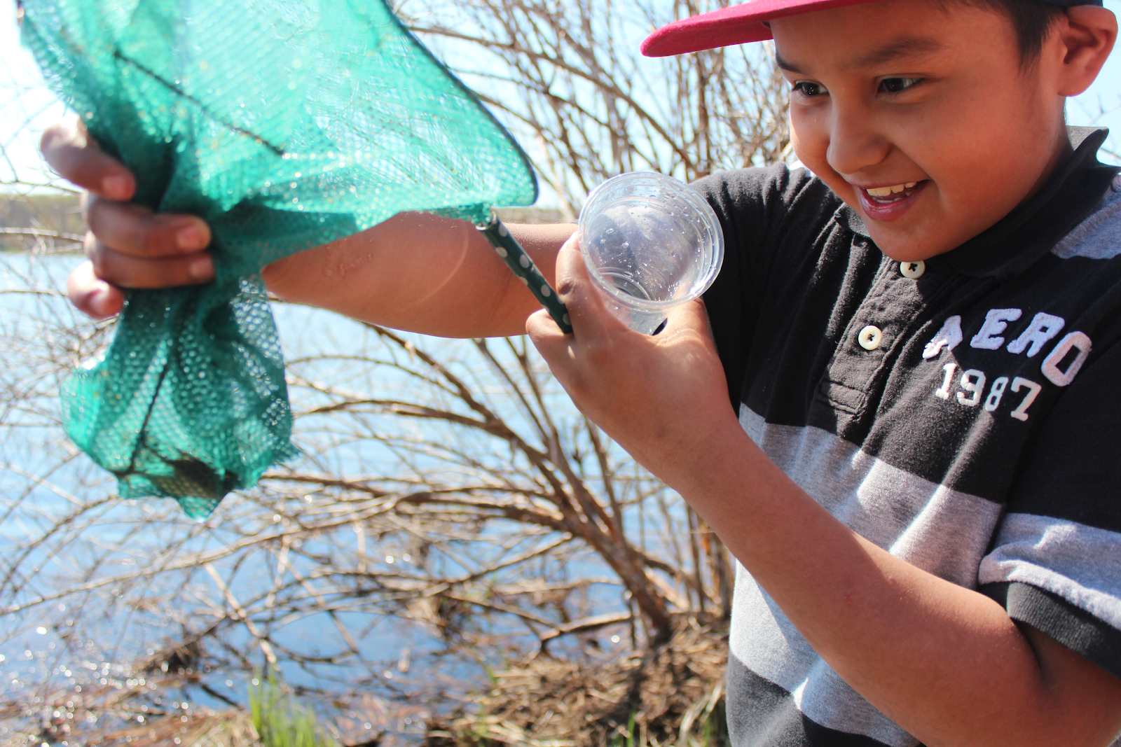 A young boy wearing a red hat is holding a net and a plastic container.