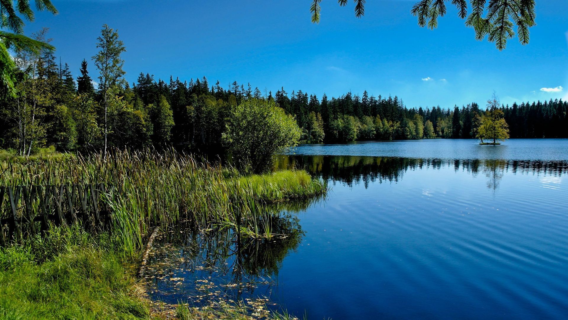 Kladské_rašeliniště_Databáze KISML