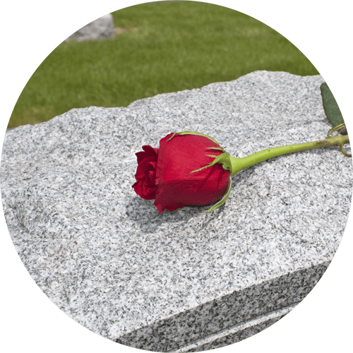 fila di cipressi attorno a un sentiero