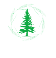 Yorel Clinic LLC