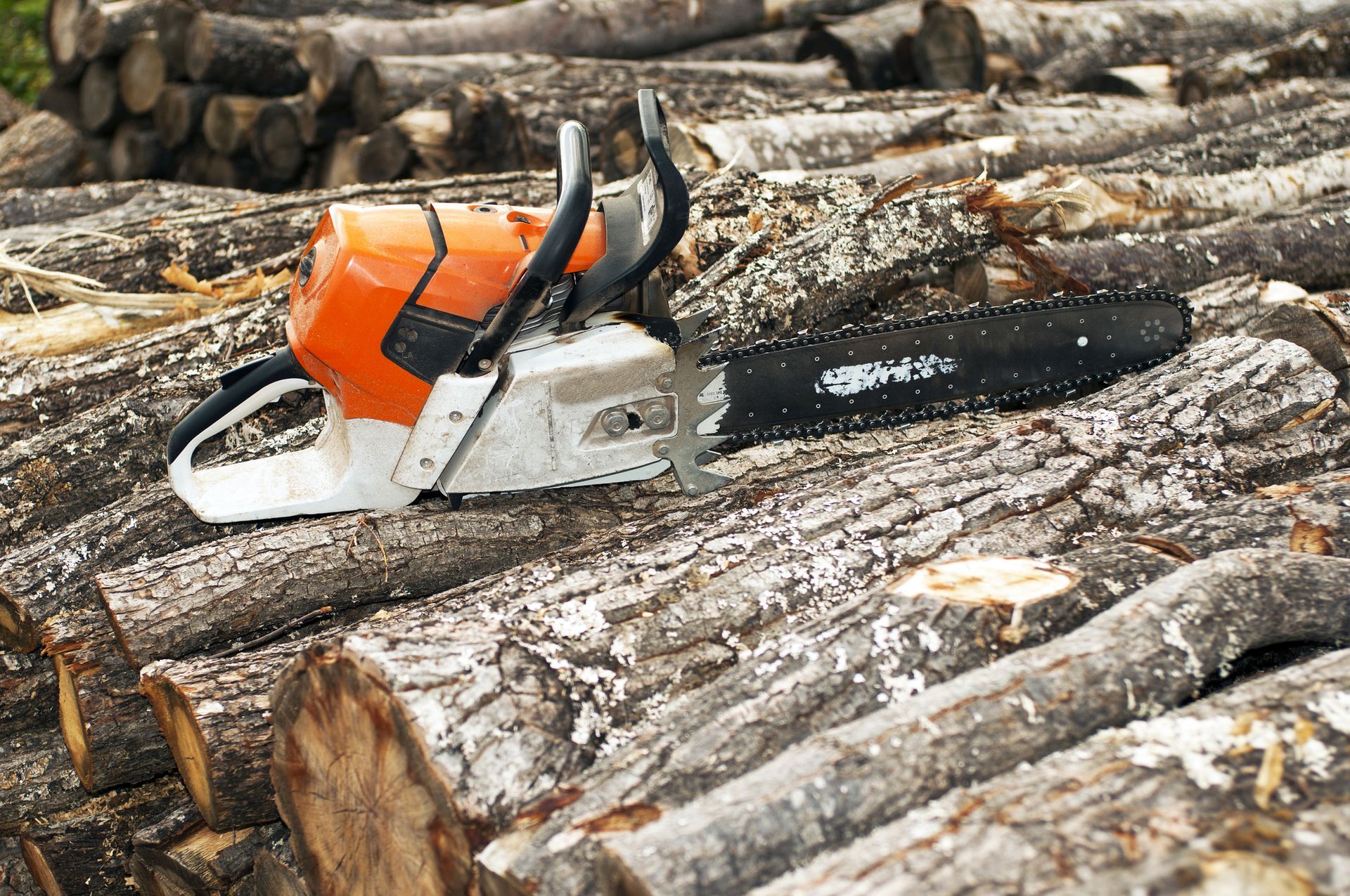 A chainsaw is sitting on top of a pile of logs.