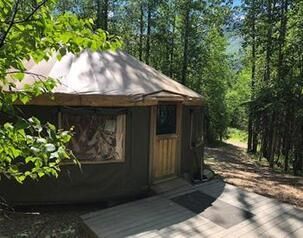 A yurt is sitting in the middle of a forest surrounded by trees.