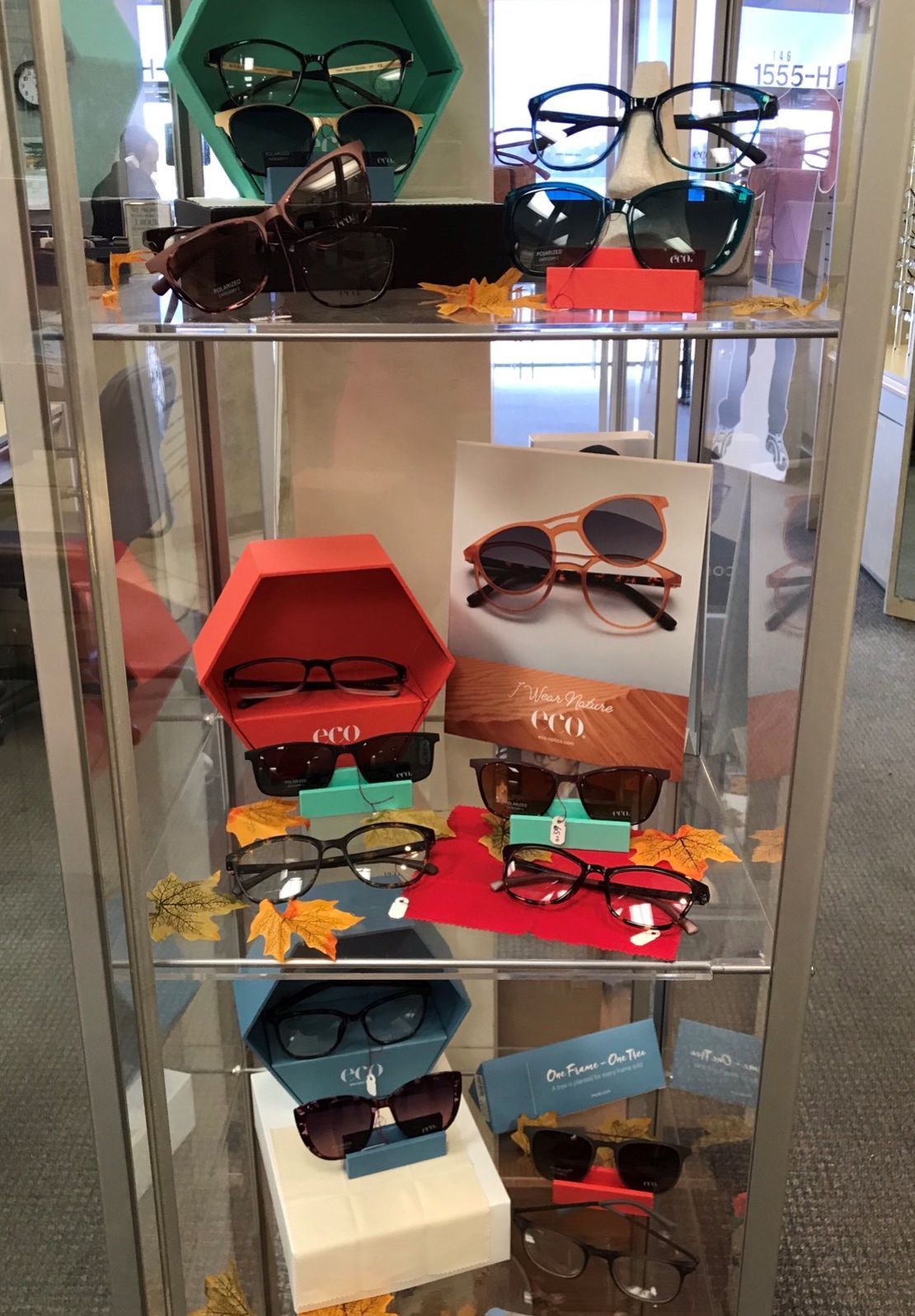 Eyewear Lexington, KY Pal Optical