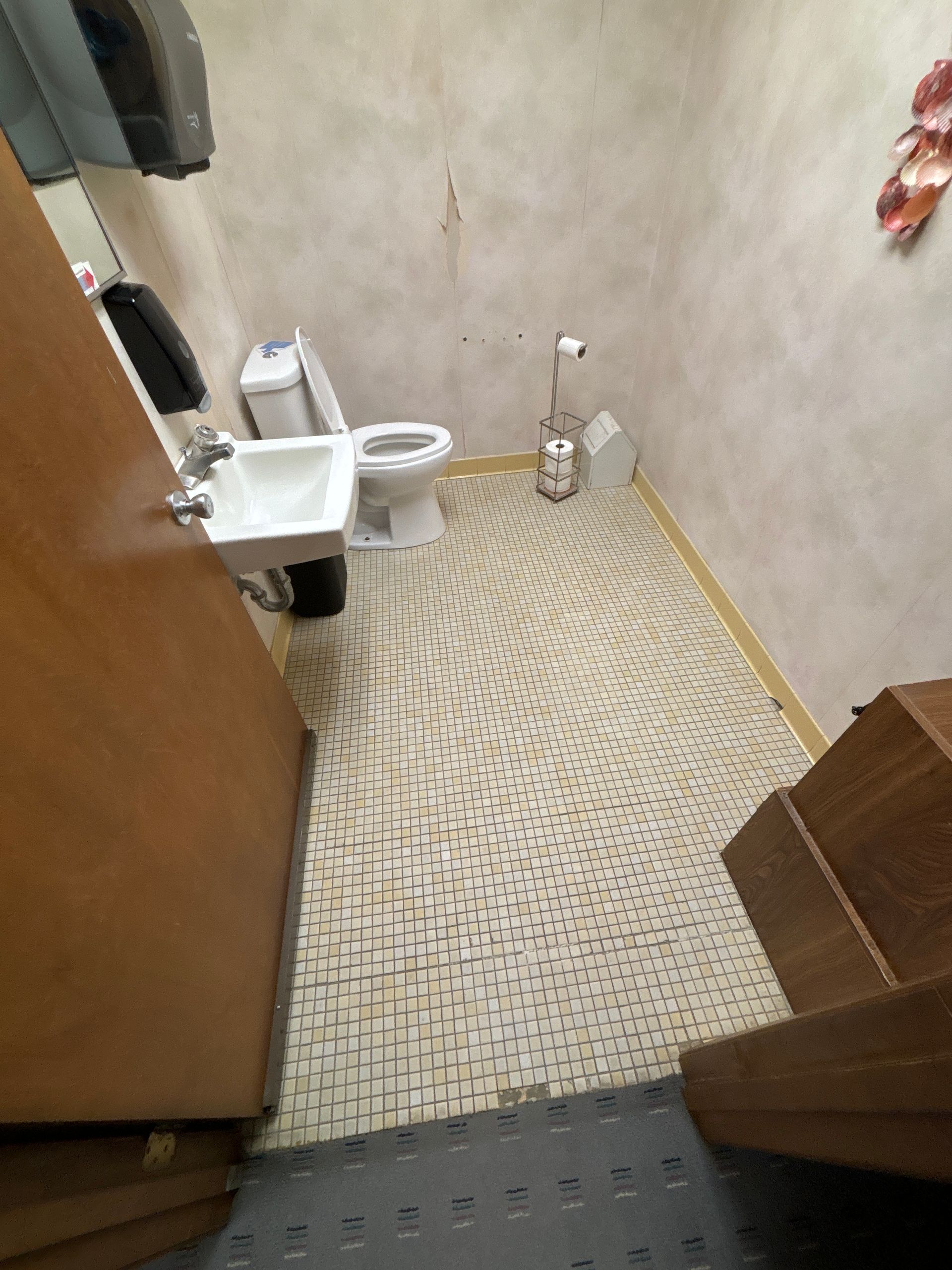 Small bathroom with patterned floor, toilet, sink, and toilet paper holder. Viewed from a doorway.