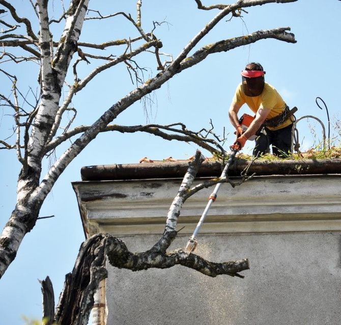 Worker in orange shirt trims a tree branch from a rooftop with a saw.