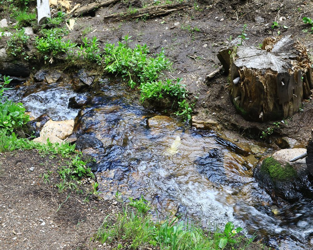 Creek Groundwater — Oley, PA — Warmkessel Geo-Environmental Inc.