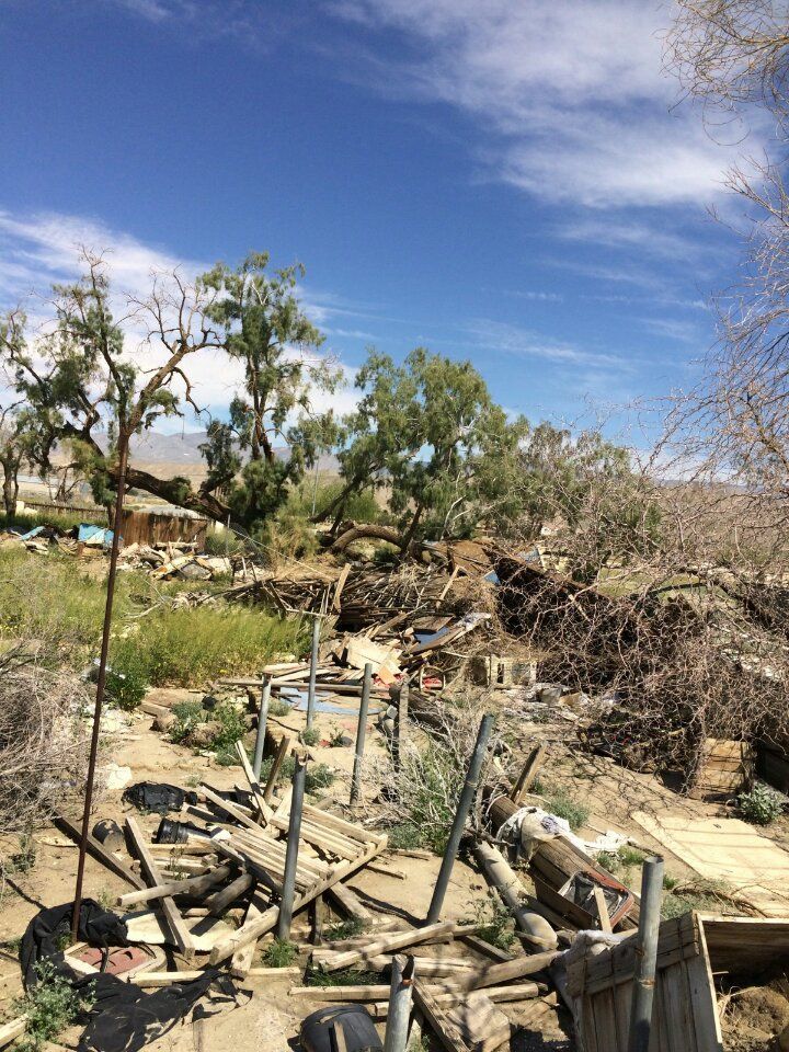 Debris and broken wood scattered in a sunny, desert-like setting, with trees and a blue sky overhead.