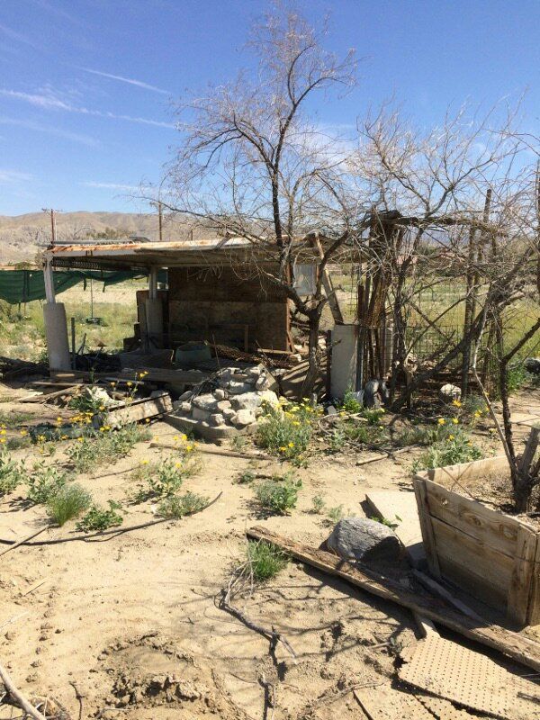 Dilapidated wooden structure in a dry, sandy yard, with bare trees and debris. Overcast sky.