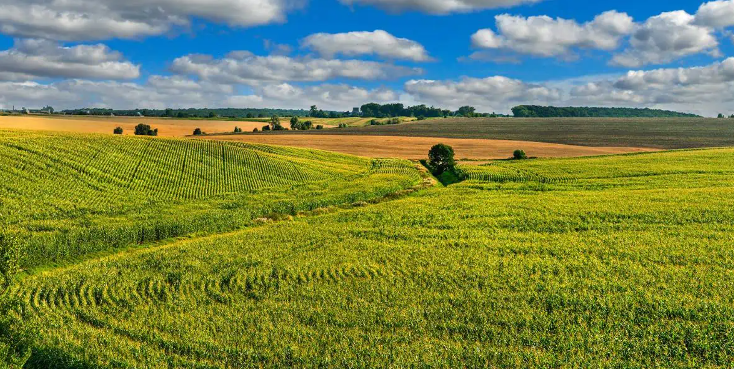 NOTÍCIAS AGRICOLAS ACESSE AQUI