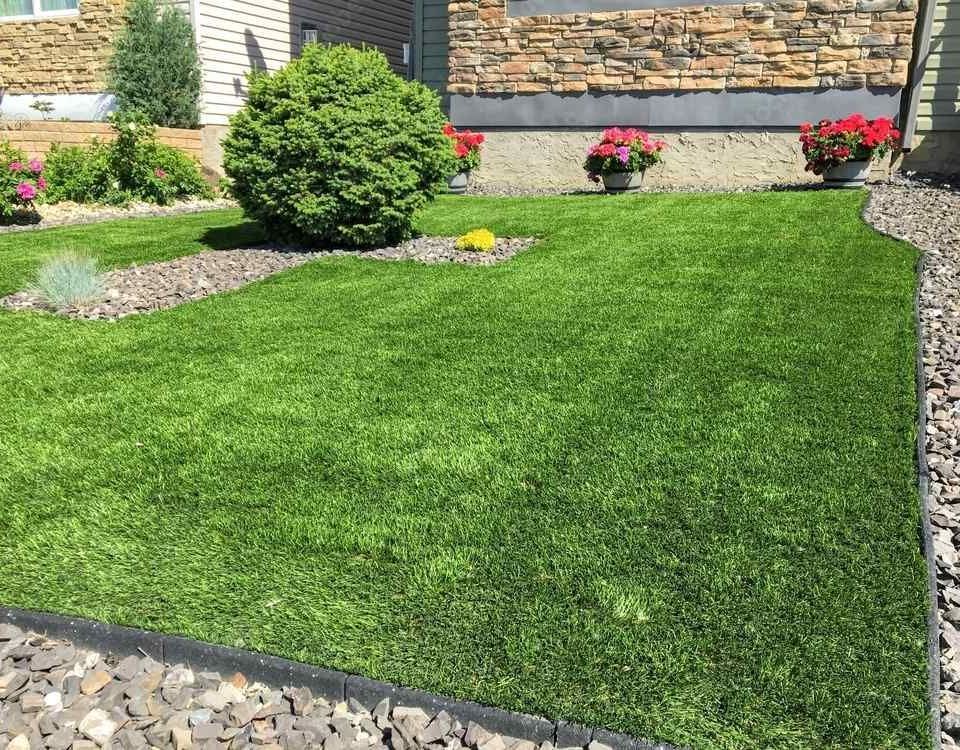Backyard Artificial Grass