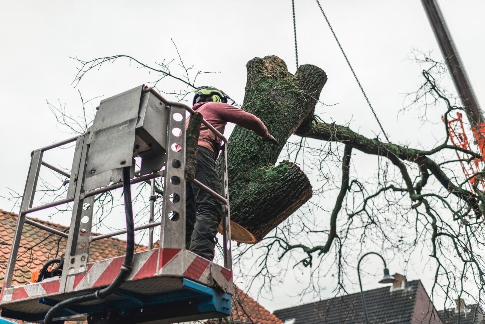 A man is standing in a crane holding a large tree stump.