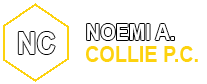 noemi collie pc logo