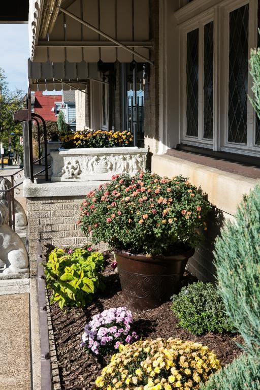 Exterior of a house with flower pots and garden. Sunlight on a tan awning and a brick wall.