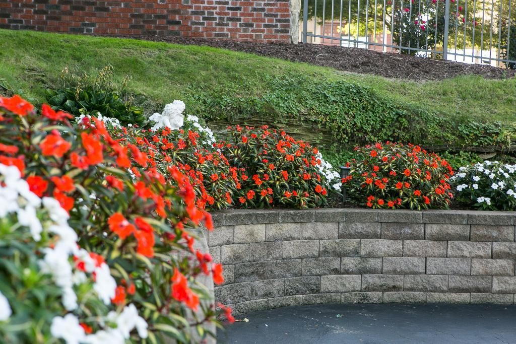 Red and white flowers in tiered garden bed, with brick wall and green lawn.