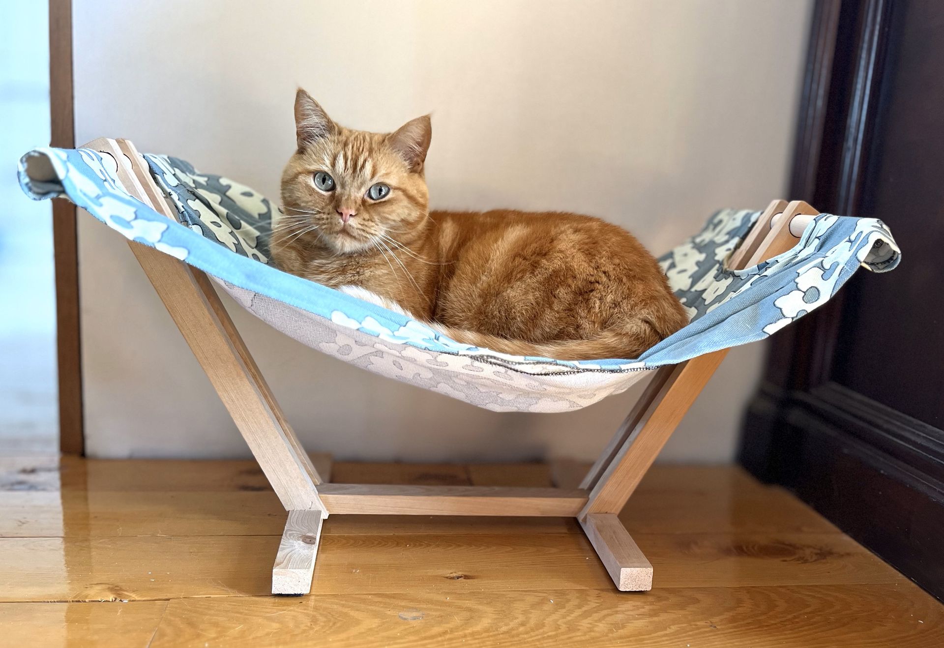 Un gato está acostado en una hamaca sobre un piso de madera.