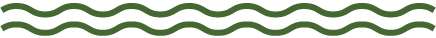 A pair of green waves on a white background.