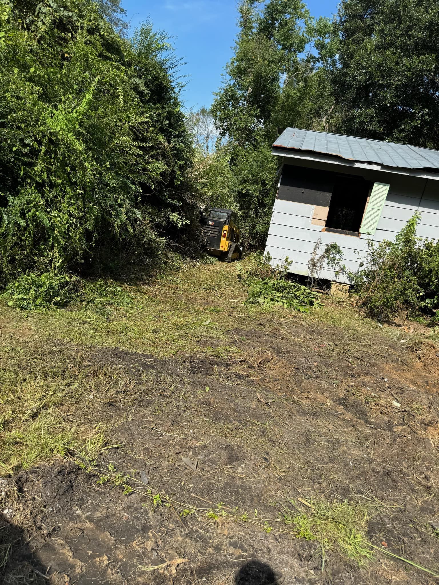 A small, light-colored shed stands on the edge of a clearing surrounded by dense, overgrown green vegetation.