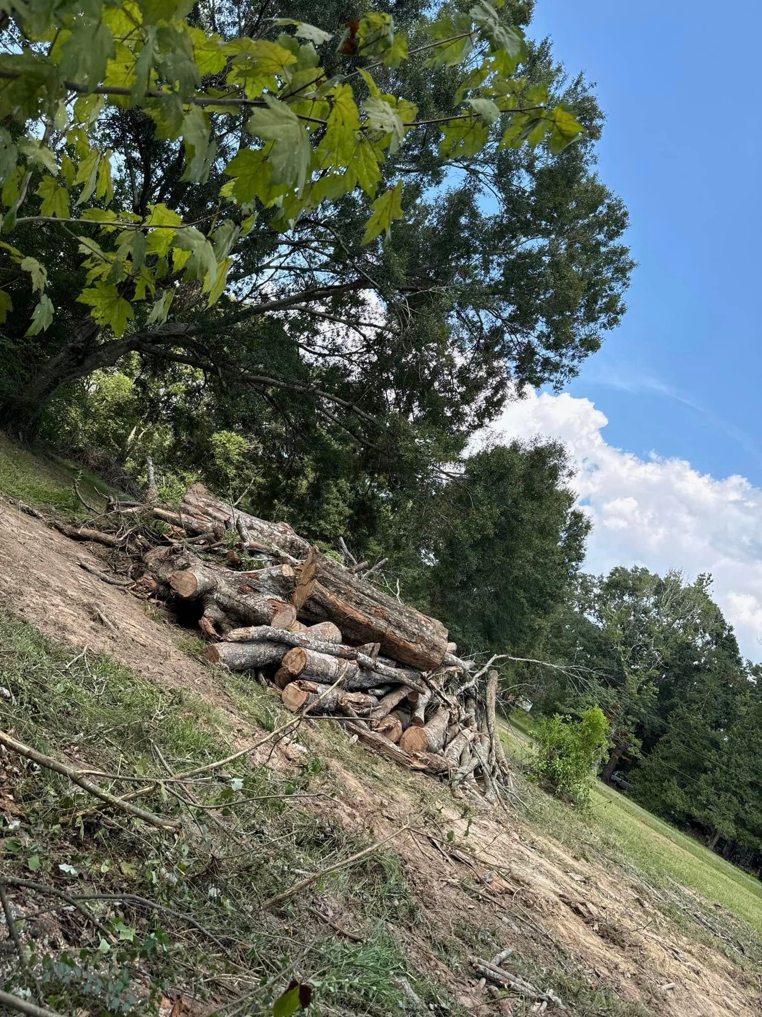 A large pile of cut logs sits on a grassy, sloped hill under a blue sky with green trees in the background.