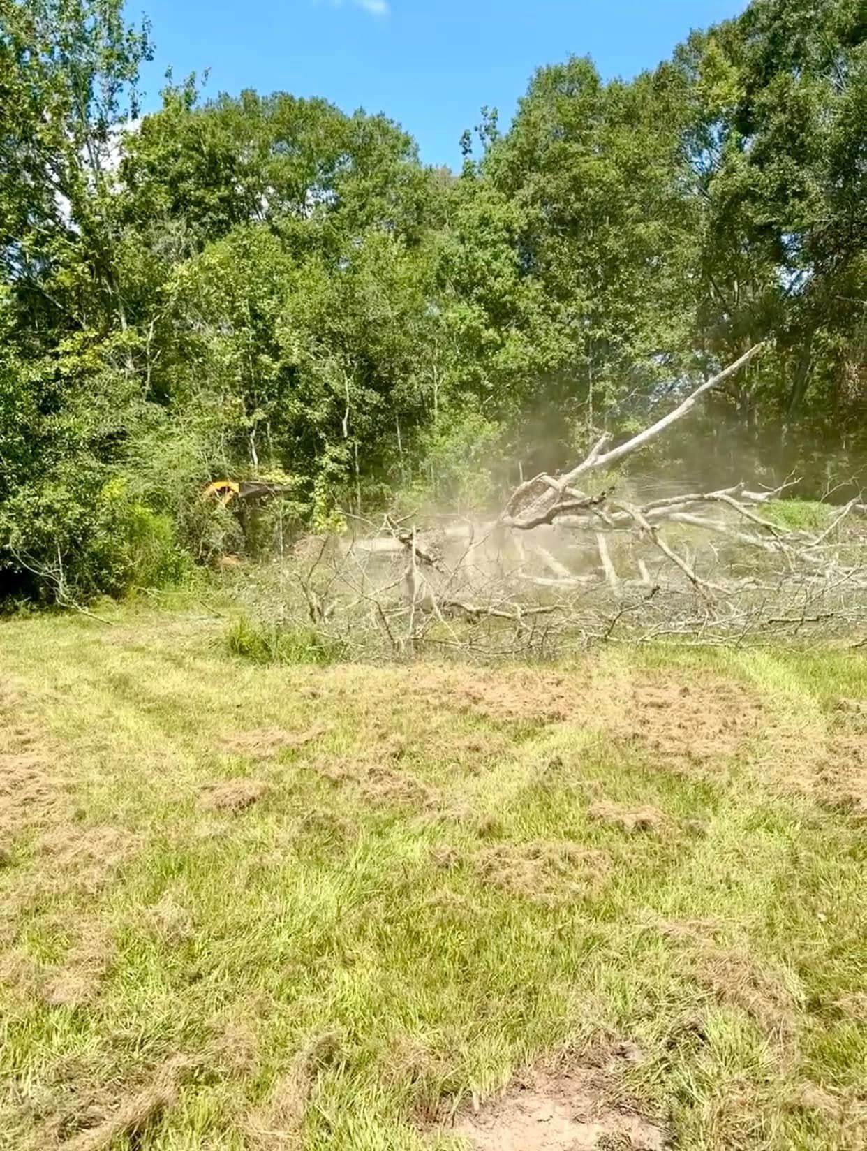 A yellow excavator pushes fallen tree branches and debris into a pile at the edge of a cleared, grassy field.