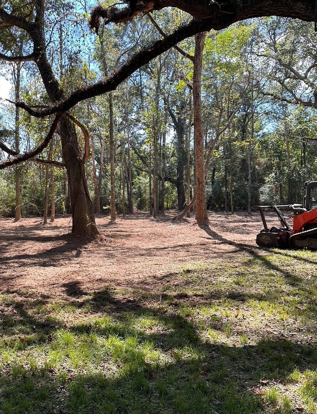 A bright, sunny woodland area with cleared ground and an orange piece of heavy machinery parked on the right side.