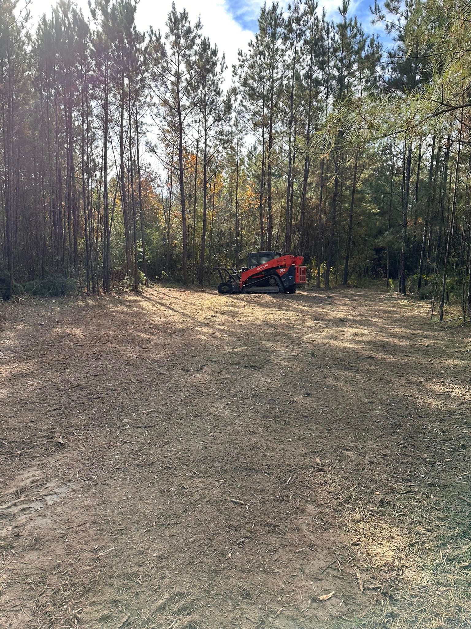 A red skid steer loader parked at the edge of a wooded area in a clearing covered with fallen leaves.