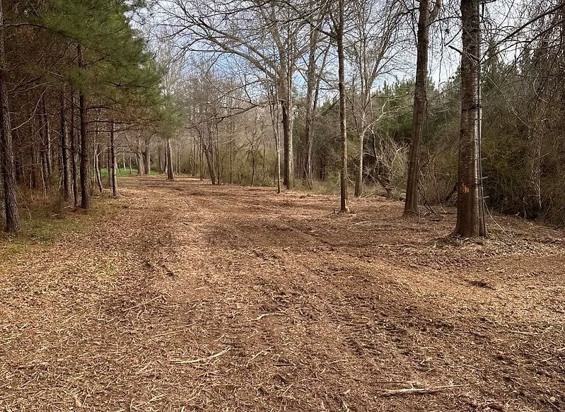 A dirt path leads through a wooded area with bare trees and fallen leaves under an overcast sky.