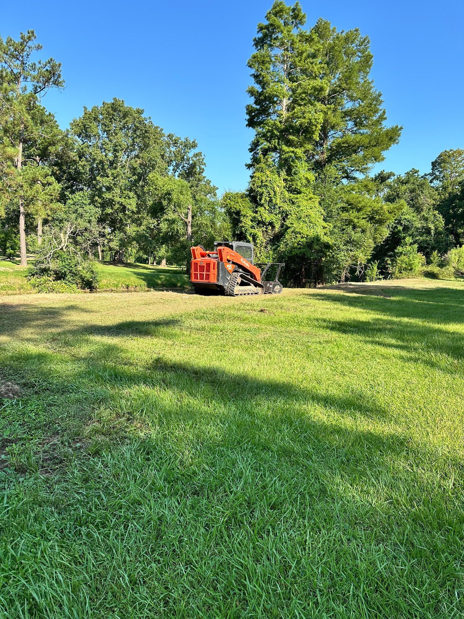 An orange skid-steer loader parked in a grassy field surrounded by dense, green trees under a clear blue sky.