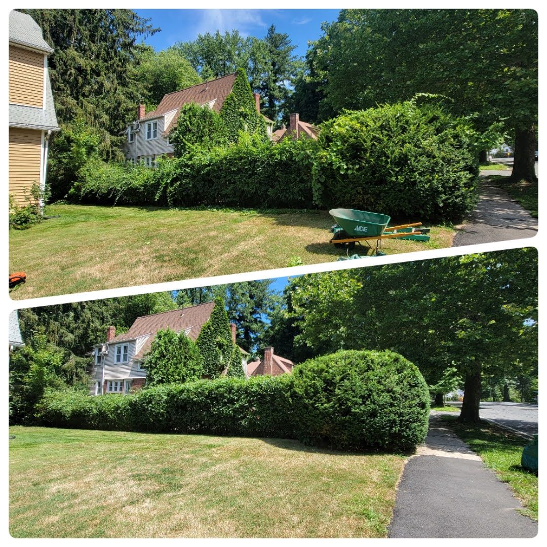 A before and after picture of a yard with a house in the background.