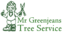 Tree Service Holly Springs, NC