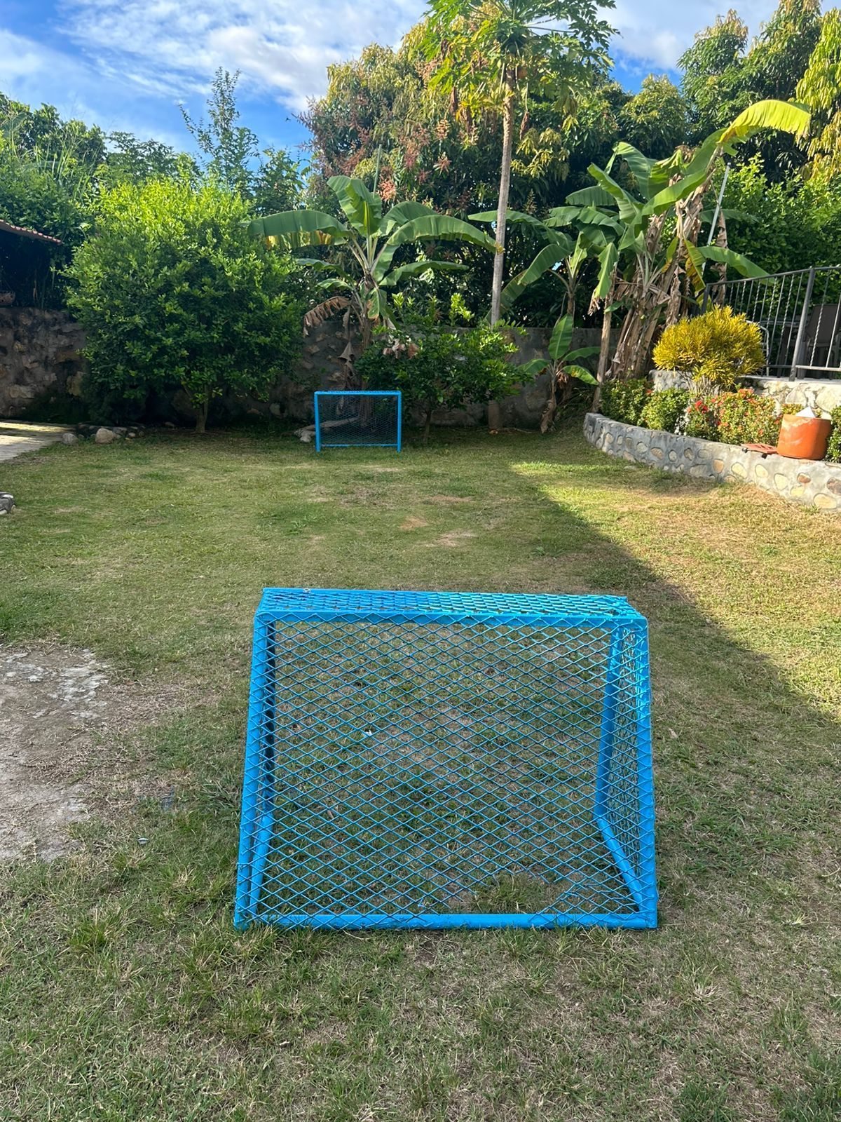 Dos pequeñas porterías de fútbol azules sobre un césped con árboles y arbustos al fondo.