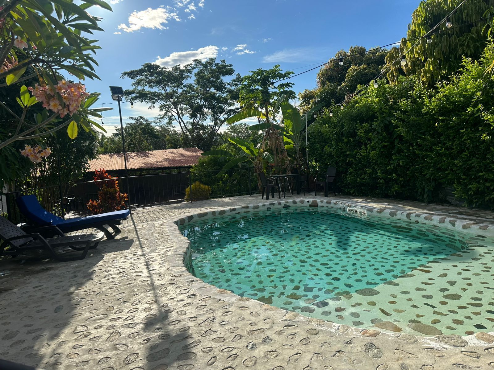 Piscina en un patio tropical rodeado de exuberante vegetación bajo un cielo parcialmente nublado.